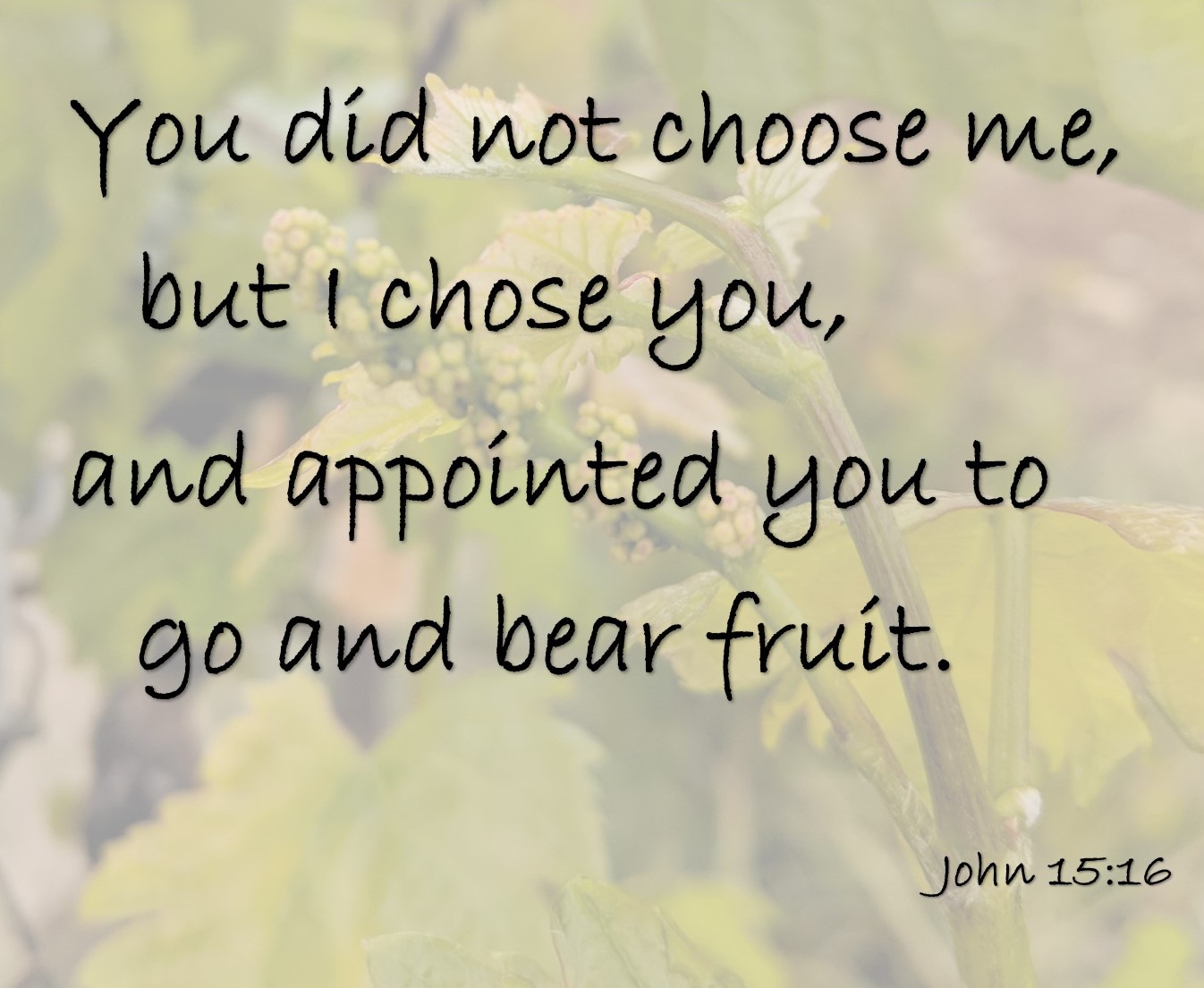 Chosen by Jesus: My Sermon on John 15:9-17 – My Pastoral Ponderings