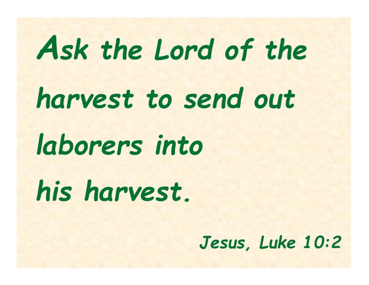 Ten Things to Remember When You Are Sent by Jesus on a Mission: My ...